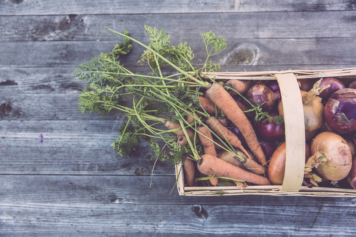 Carottes avec leurs fanes et oignons dans un panier en bois sur des planches grises