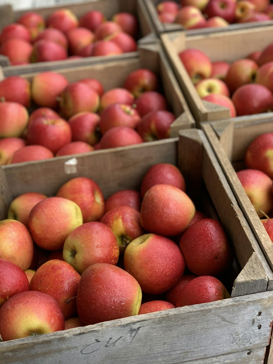 Cagettes en bois remplies de pommes rouges